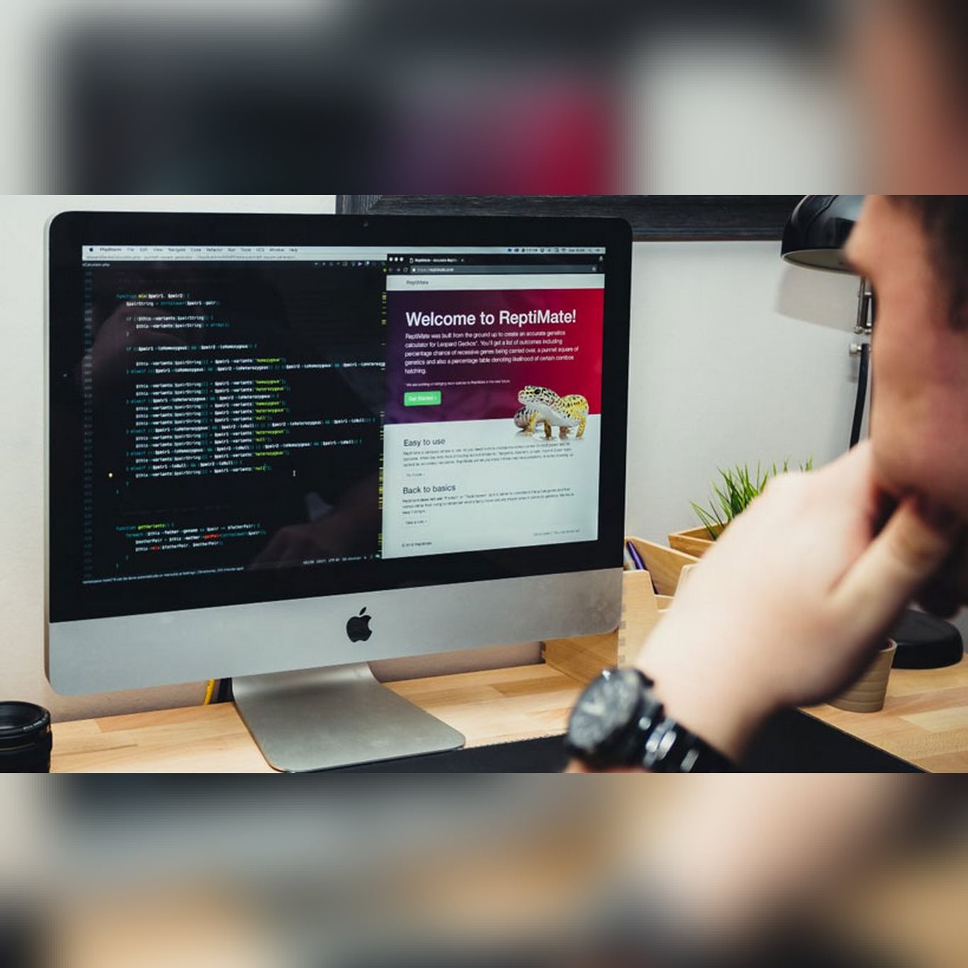 Desarrollo Web